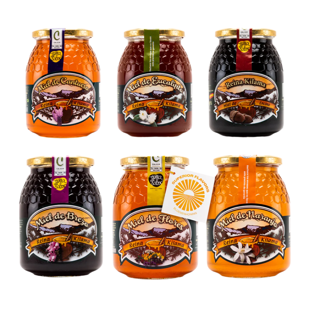 Combi van 6 verschillende honing soorten